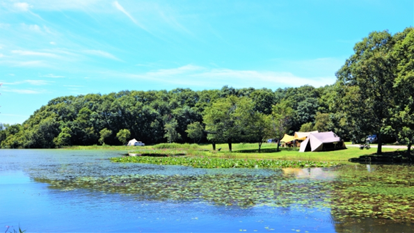一日キャンプで自然を楽しんでいる画像
