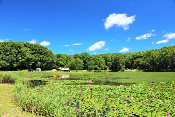車キャンプで自然を楽しんでいる画像