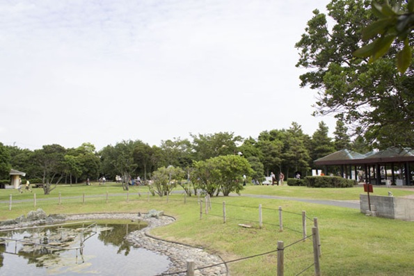 車キャンプ　関東エリアの車キャンプ場 若洲公園キャンプ場（東京都江東区）で車キャンプをしている画像