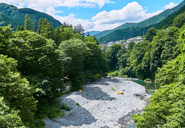 車キャンプ　関東エリアの車キャンプ場 氷川キャンプ場（東京都奥多摩町）で車キャンプをしている画像