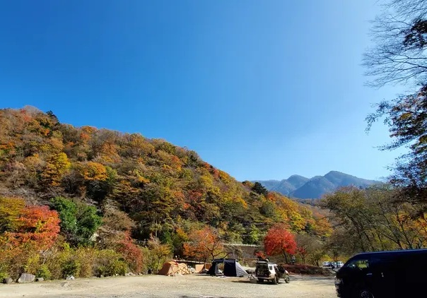 車キャンプ　関東エリアの車キャンプ場 ウェルキャンプ西丹沢（神奈川県山北町）で車キャンプをしている画像