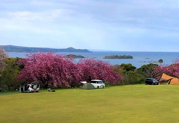 車キャンプ　中部・甲信越エリアの車キャンプ場 能登島家族旅行村 Weランド（石川県七尾市）で車キャンプをしている画像