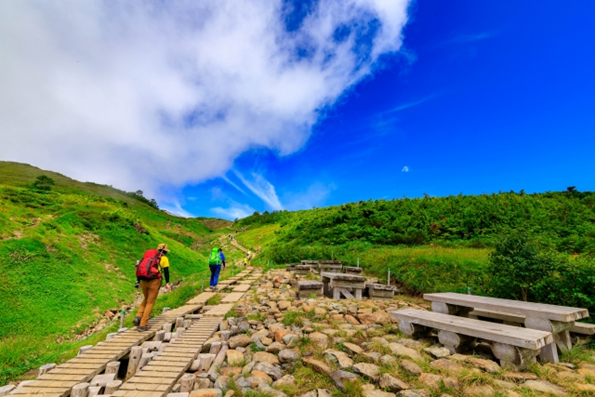 アウトドアで人気の登山を楽しんでいる画像
