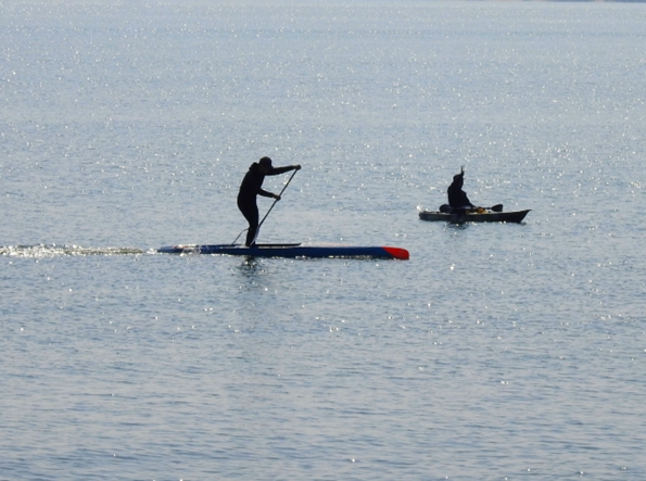 アウトドアで人気のSUP（スタンドアップパドルボード）遊びをしている画像